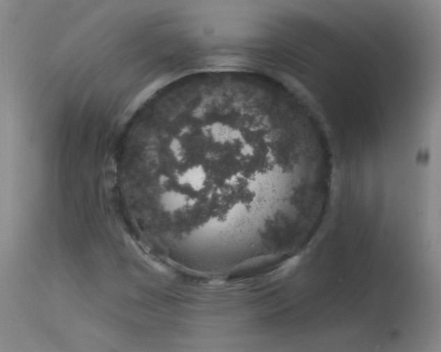 X0000114211449200910091313