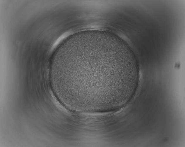 X0000114211450200910091313