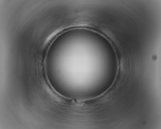 X0000114211452200910091312