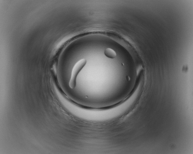 X0000114211453200910091312