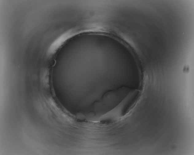 X0000114211455200910091312