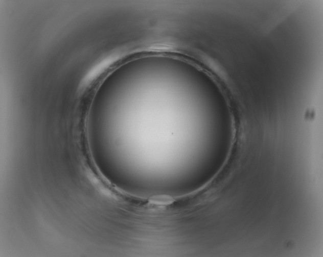X0000114211456200910091312