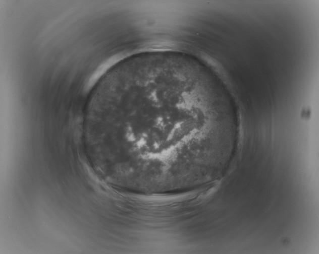 X0000114211457200910091312