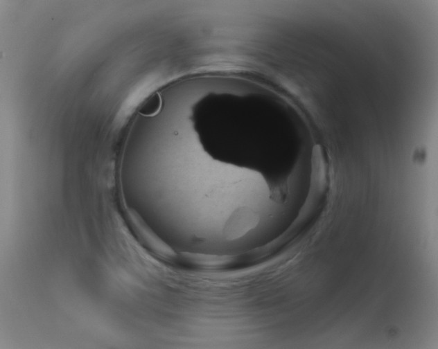 X0000114211459200910091312