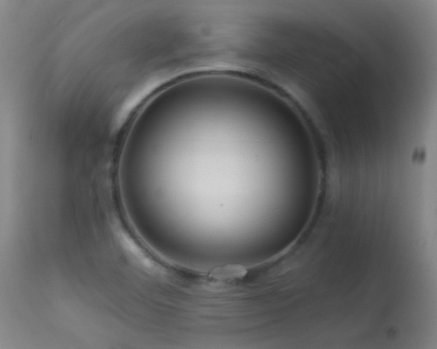 X0000114211460200910091312