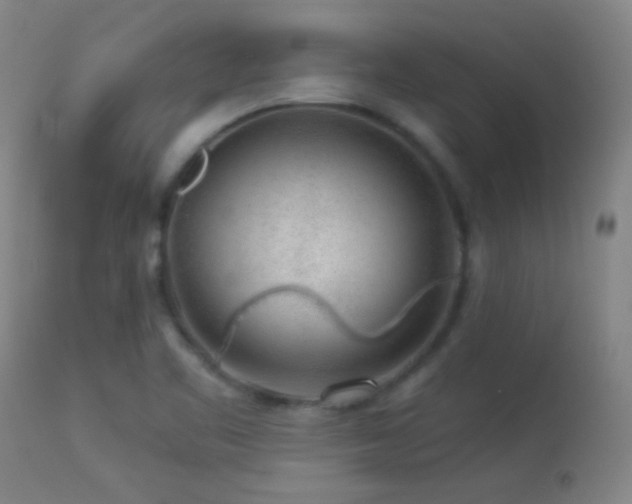 X0000114211461200910091312