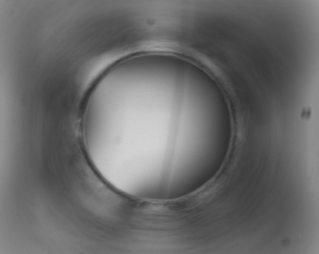 X0000114211462200910091312