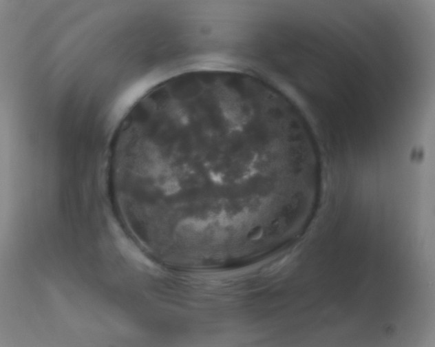 X0000114211463200910091312