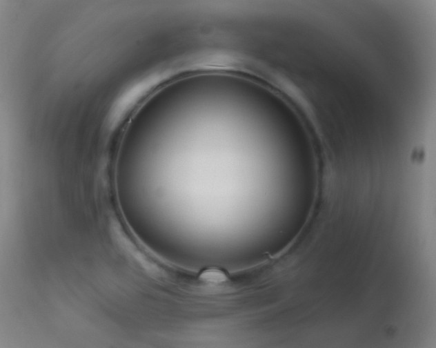 X0000114211464200910091312