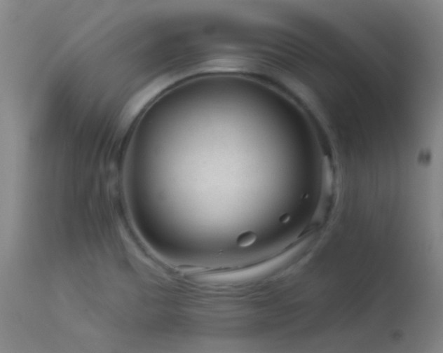 X0000114211465200910091312