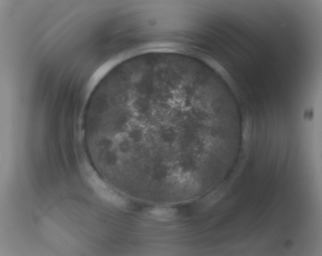 X0000114211466200910091312