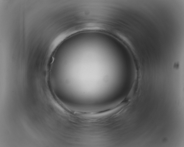 X0000114211467200910091312