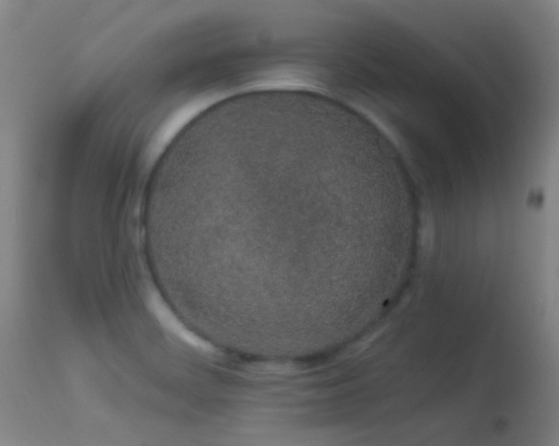 X0000114211468200910091312