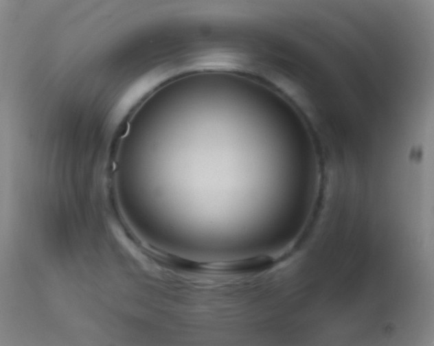 X0000114211469200910091312