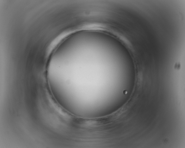 X0000114211470200910091312
