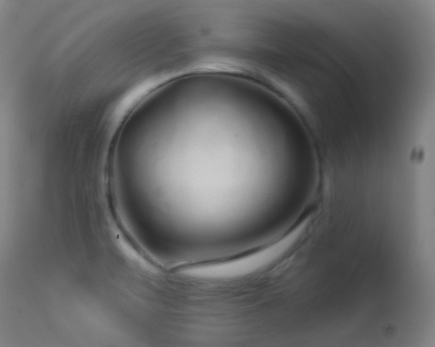 X0000114211471200910091312