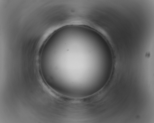X0000114211472200910091312