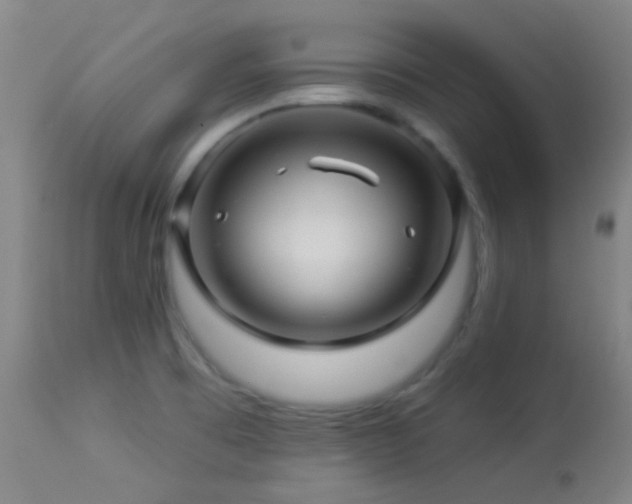 X0000114211473200910091312