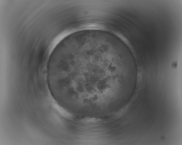 X0000114211474200910091312