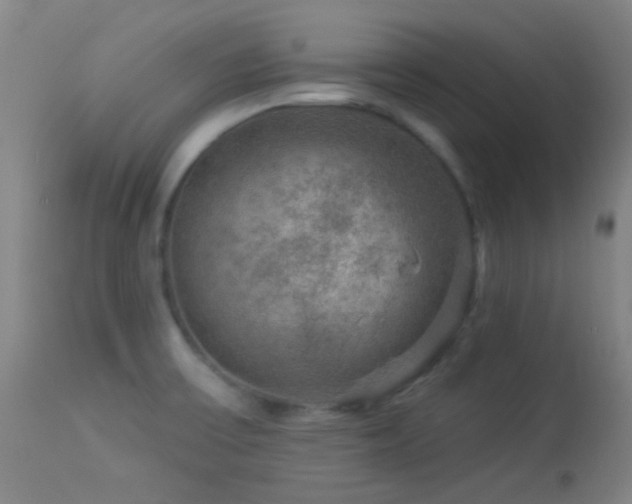 X0000114211475200910091312