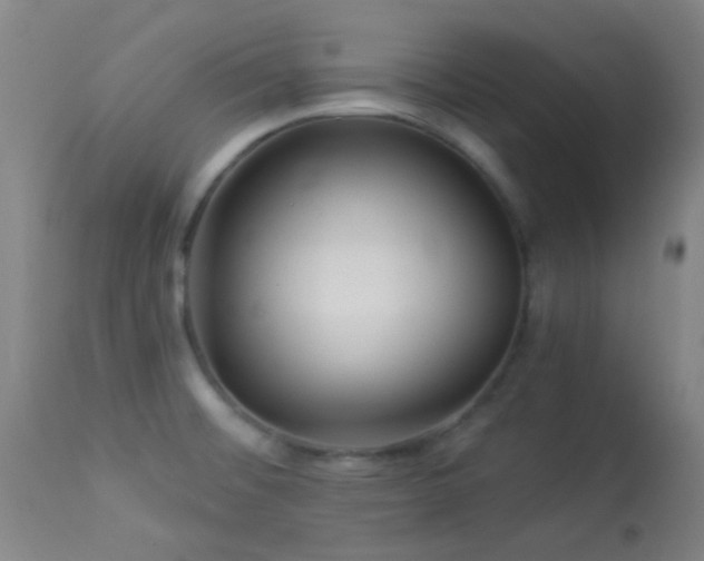 X0000114211476200910091312