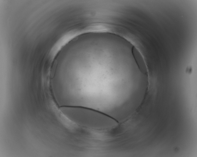 X0000114211477200910091312