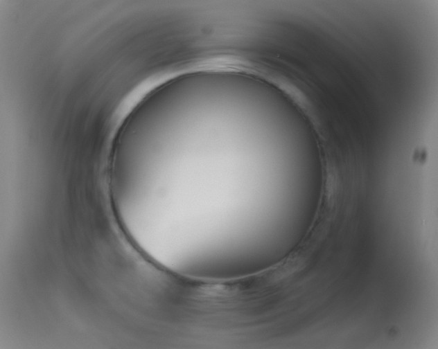 X0000114211478200910091312