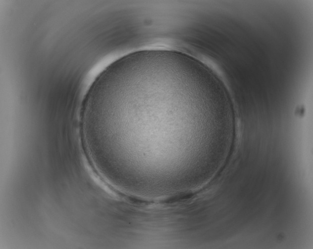 X0000114211480200910091312