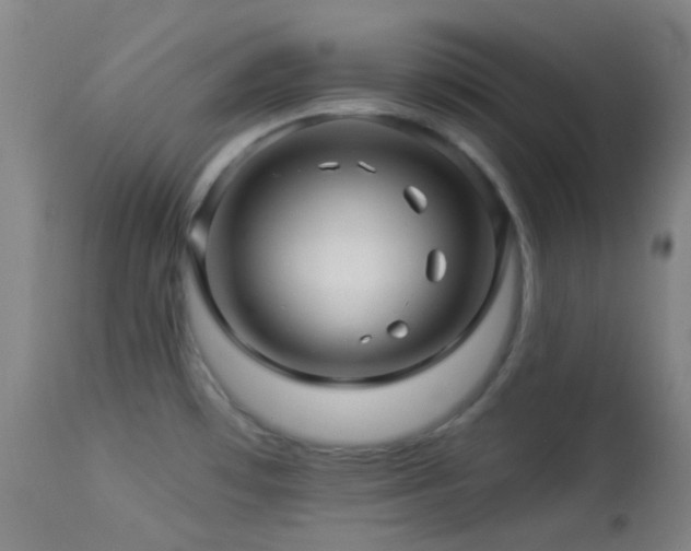 X0000114211481200910091312