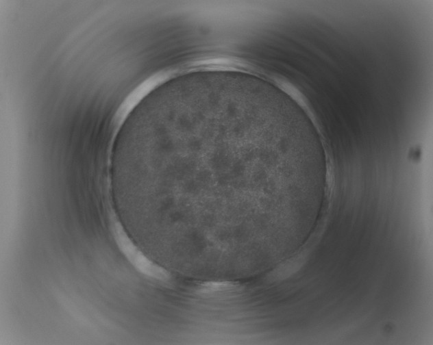 X0000114211482200910091312