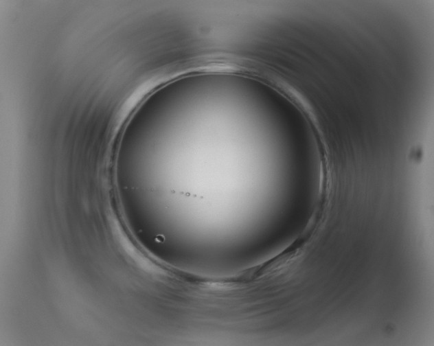 X0000114211483200910091312