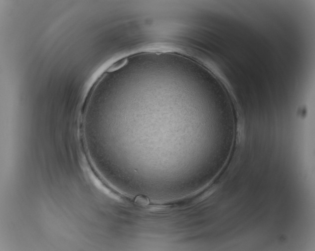 X0000114211484200910091312