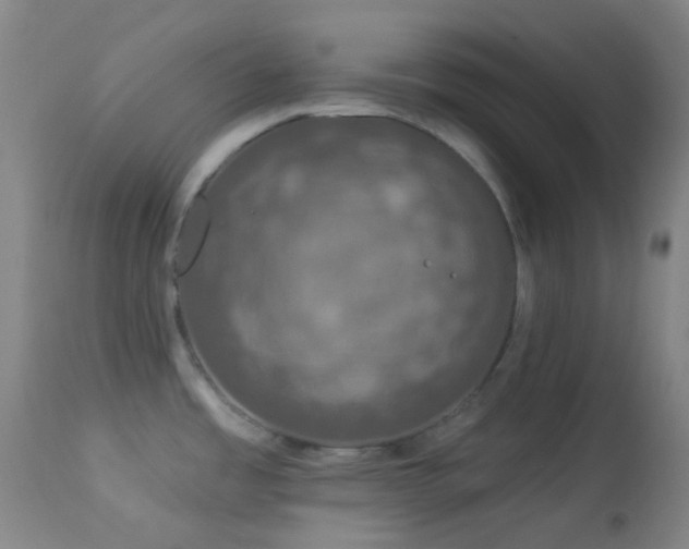 X0000114211485200910091312