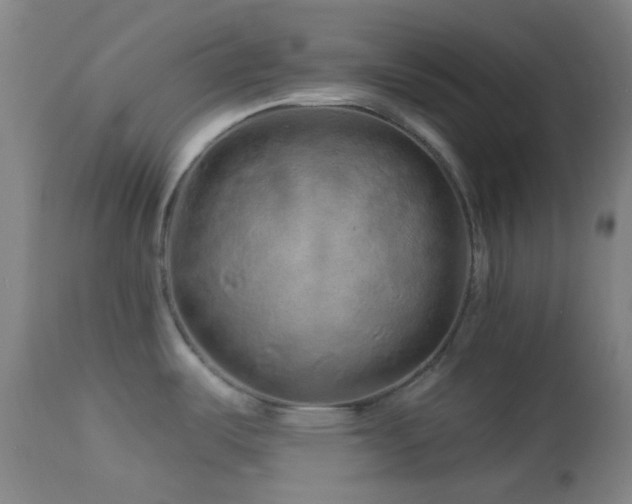X0000114211487200910091312