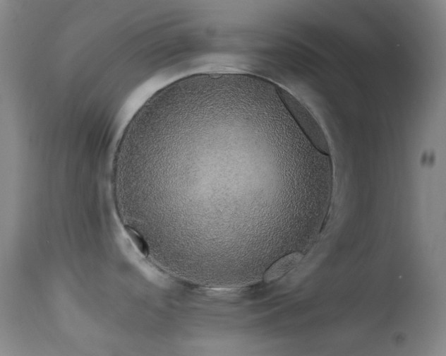 X0000114211488200910091312
