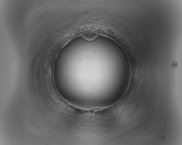 X0000114211489200910091311