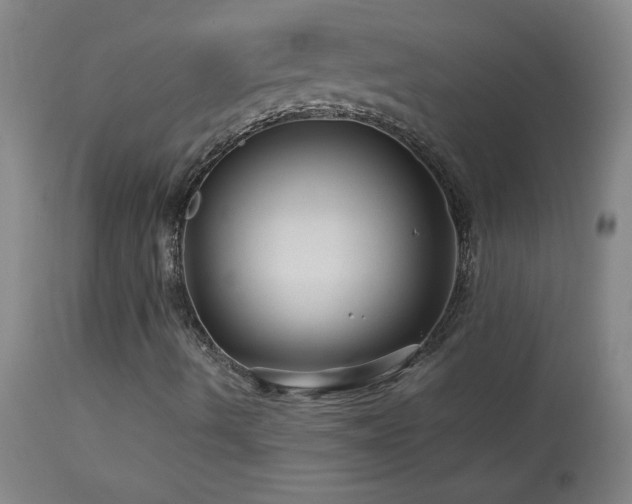 X0000114211490200910091311