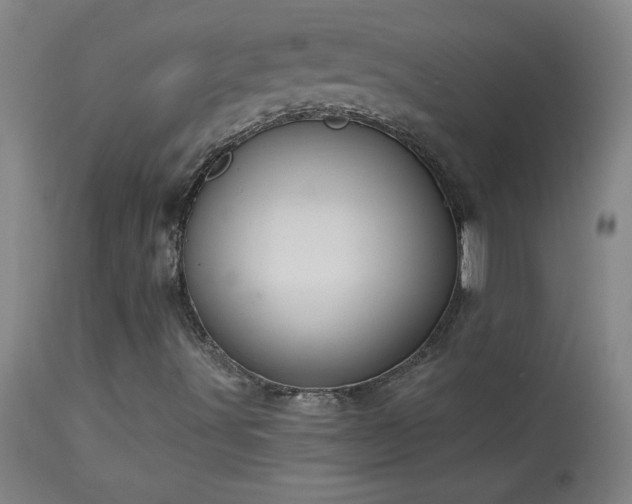 X0000114211491200910091311