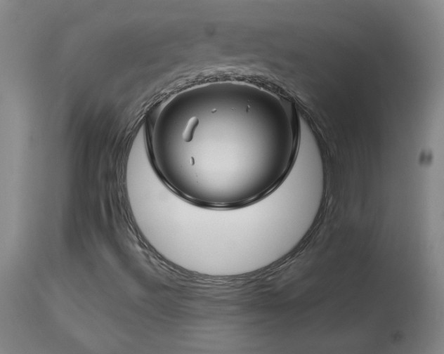 X0000114211492200910091311