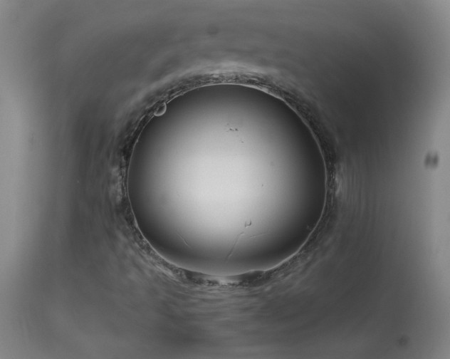 X0000114211493200910091311