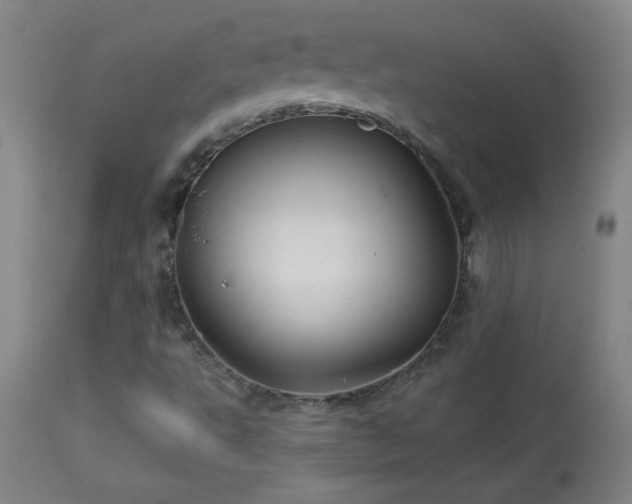 X0000114211495200910091311