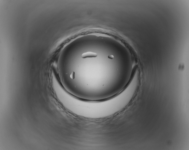 X0000114211496200910091311