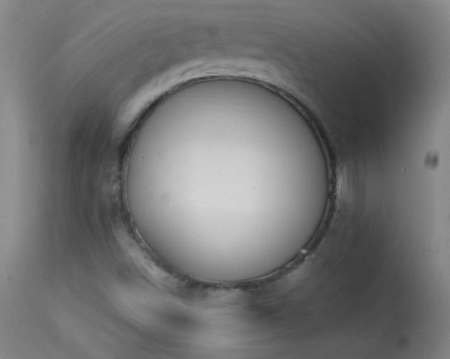 X0000114211498200910091311