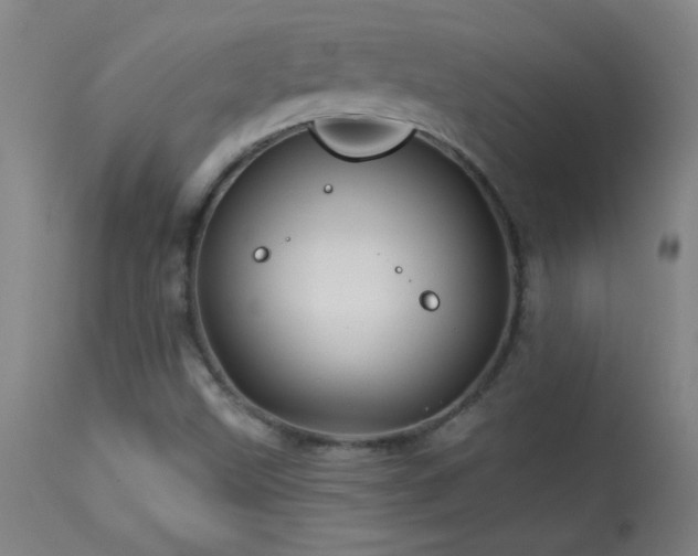 X0000114211499200910091311