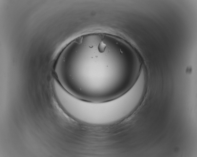 X0000114211500200910091311