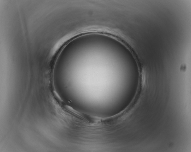 X0000114211501200910091311