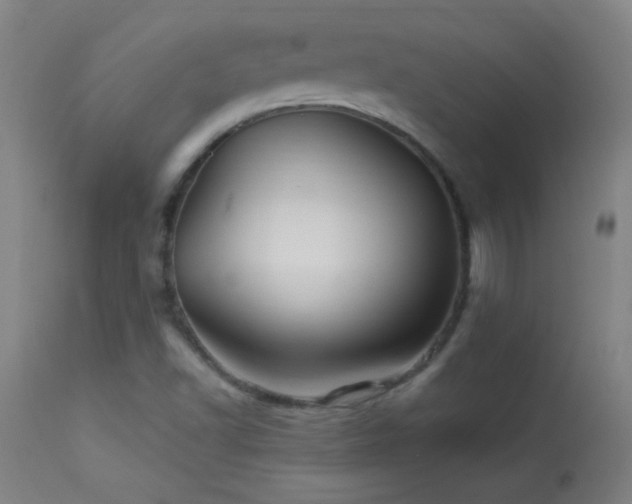 X0000114211502200910091311