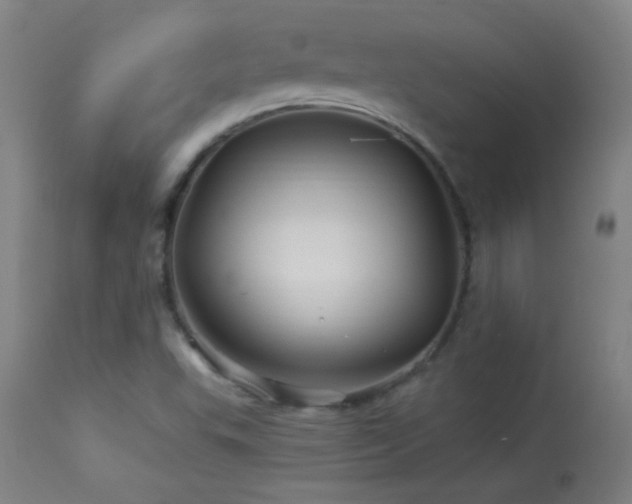 X0000114211503200910091312