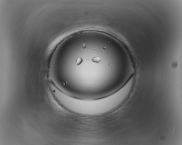 X0000114211504200910091312