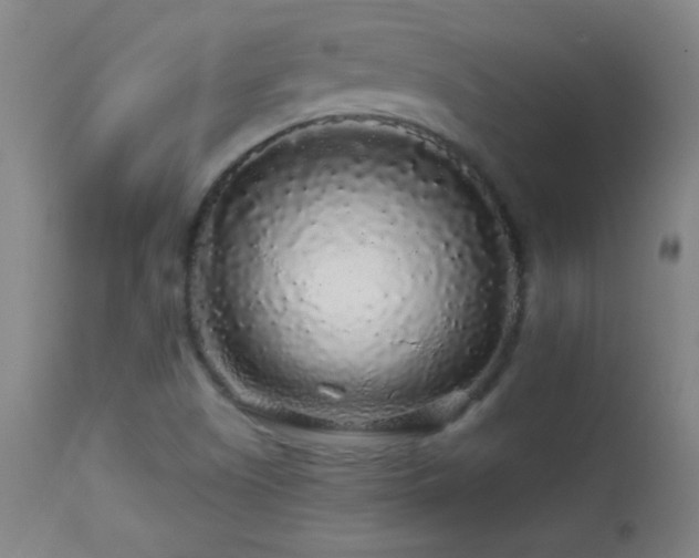 X0000114211505200910091312